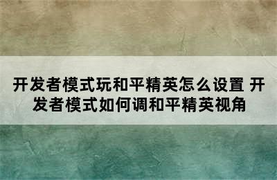 开发者模式玩和平精英怎么设置 开发者模式如何调和平精英视角